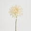Dahlia Spray 56cm Cream