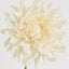 Dahlia Spray 56cm Cream