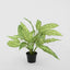 Dracaena Plant Real Touch in Pot 39cm