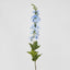 Bella Single Head Delphinium Light Blue - Pack of 12