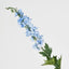 Bella Single Head Delphinium Light Blue - Pack of 12