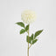 Pompom Ball Dahlia Stem 62cm Cream