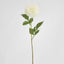 Pompom Ball Dahlia Stem 62cm Cream