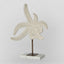Starfish on Marble White