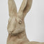 Henry Hare Lying Brown