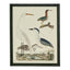 Graceful Cranes Wall Art B