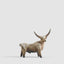 Angus Ceramic Bull Large