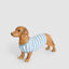 Jax Dachshund Sculpture Blue Stripe