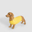 Jax Dachshund Sculpture Yellow