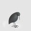 Raven Velvet Stone Bird Black