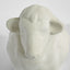 Betty Concrete Lava Sheep White