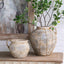 Wirey Rustic Planter Small