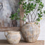 Wirey Rustic Planter Medium
