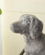 Soss Dashshund Planter