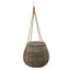 Cancun Hanging Basket Medium