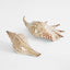 Conch Shell