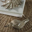 Conch Shell