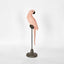 Amabela Parrot Small Pink