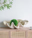 Giant Clam Sculpture Natural