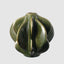 Dawn Vase Green