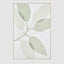Eucalyptus Calm A Wall Art 82.5 x 122.5cm.