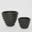 Vera Pots With Dots Set 2