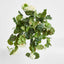 Geranium Bush Trail 60cm Cream (Set of 6)