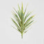 Yucca Head W/36 Lvs 78cm Green - House of Isabella AU