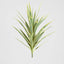 Yucca Head W/36 Lvs 78cm Green - House of Isabella AU