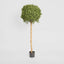 Artificial Boxwood Ball Tree 1.5M (Dia 60cm) - House of Isabella AU