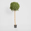 Artificial Boxwood Ball Tree 1.5M (Dia 60cm) - House of Isabella AU