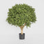 Artificial Boxwood Ball Tree 65cm (Dia 50cm) - House of Isabella AU