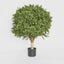 Artificial Boxwood Ball Tree 65cm (Dia 50cm) - House of Isabella AU