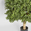 Artificial Boxwood Ball Tree 65cm (Dia 50cm) - House of Isabella AU