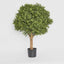 Artificial Boxwood Ball Tree 75cm (Dia 60cm) - House of Isabella AU