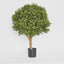 Artificial Boxwood Ball Tree 75cm (Dia 60cm) - House of Isabella AU