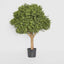 Artificial Boxwood Ball Tree 75cm (Dia 60cm) - House of Isabella AU