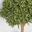 Artificial Boxwood Ball Tree 75cm (Dia 60cm) - House of Isabella AU