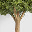 Artificial Boxwood Ball Tree 75cm (Dia 60cm) - House of Isabella AU