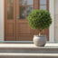Artificial Boxwood Ball Tree 75cm (Dia 60cm) - House of Isabella AU