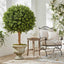 Artificial Boxwood Ball Tree 75cm (Dia 60cm) - House of Isabella AU