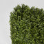 Artificial Boxwood Hedge 55x95cm - House of Isabella AU