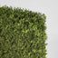 Artificial Boxwood Hedge 75x100cm - House of Isabella AU