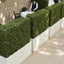 Artificial Boxwood Hedge 75x100cm - House of Isabella AU