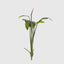 Bird Of Paradise 137cm W/7 Lvs 1 Bud - House of Isabella AU
