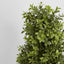 Artificial Boxwood Pyramid Tree 1m - House of Isabella AU
