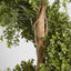 Artificial Boxwood Spiral Tree Budget 1.4m - House of Isabella AU