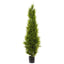 Artificial Cypress Pine 1.8m - House of Isabella AU