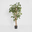 Artificial Ficus 1.2m - House of Isabella AU
