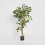 Artificial Ficus 1.2m - House of Isabella AU